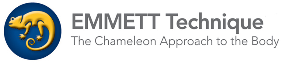 EmmetLogos_Symbol&Text(O).indd